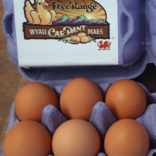 Welsh Cae Pant Free Range Eggs